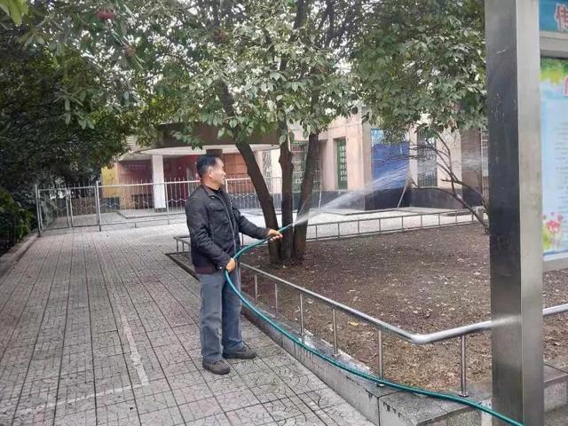 广场绿化管护忙不停