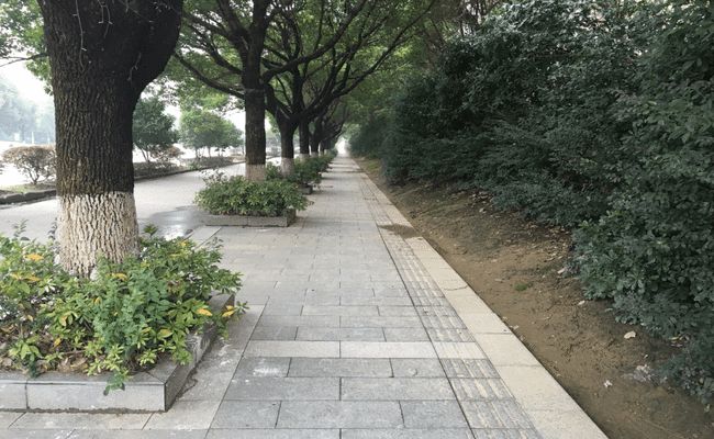 把“绿化”绘成“彩化”打造生态化地铁站外景 把“绿化”绘成“彩化”打造生态化地铁站外景