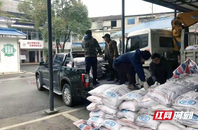 「绿色张家界」应对雨雪冰冻灾害天气 张家界市园林绿化服务中心