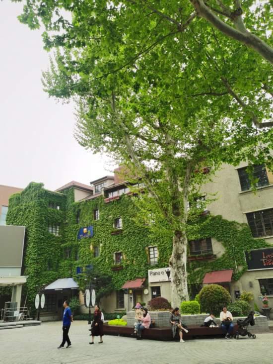 上海公园城市建设中的立体绿化，你知道哪些？