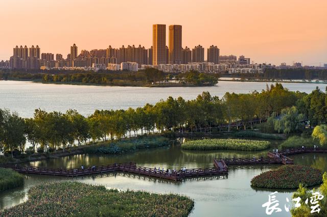 《武汉市2023年绿化工作方案》出炉！武汉将新改建各类公园100座