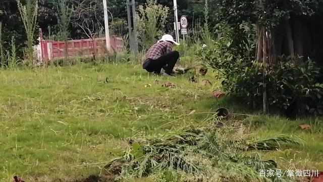 绿化管理,她们是认真的! 绿化管理,她们是认真的!