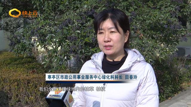 冬季绿化养护 提升城市“颜值”