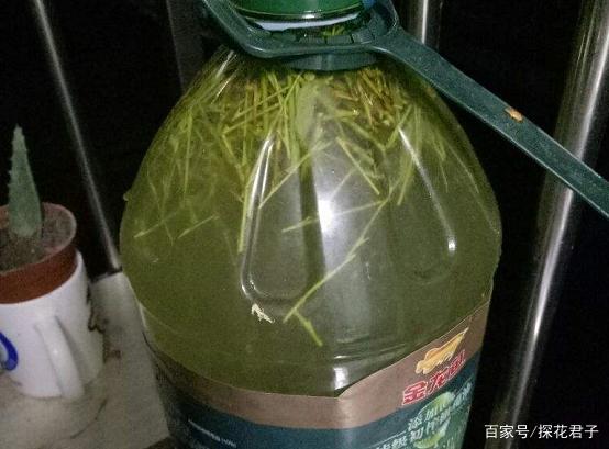 这种“水”是天然的生根剂，原材料来自1类树，养啥旺啥