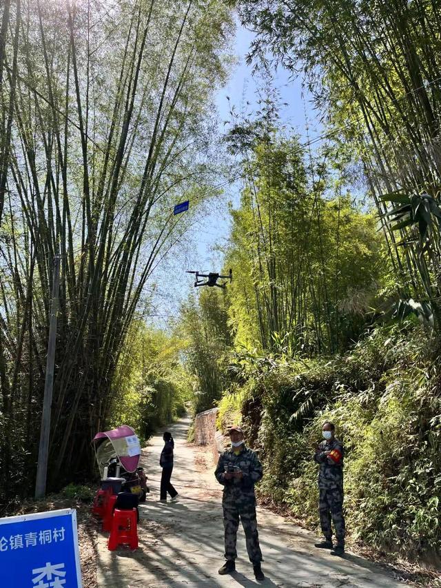 云浮罗定市：积极营造“爱绿、植绿、护绿、兴绿”的全民绿化氛围