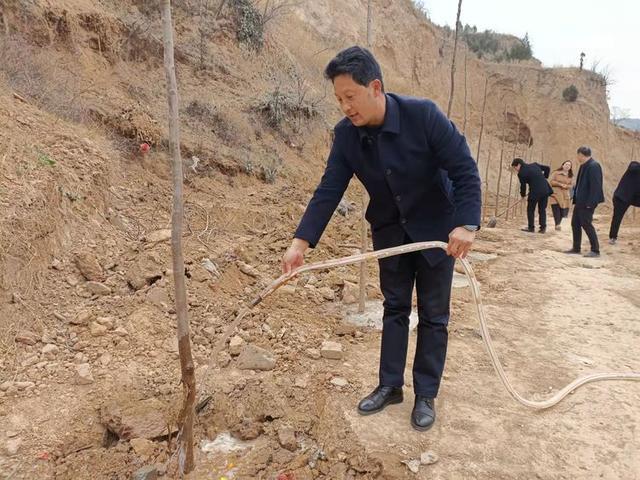 春季绿化种植忙，不负美丽好时光，河南灵宝市掀起绿化新高潮
