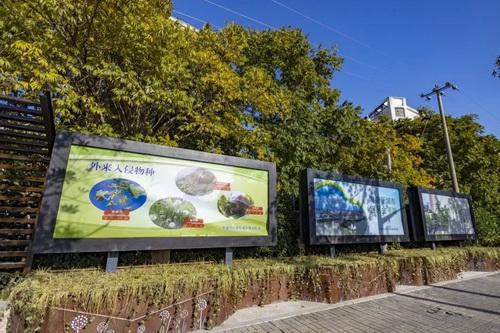 平湖市街头多处绿化容貌升级