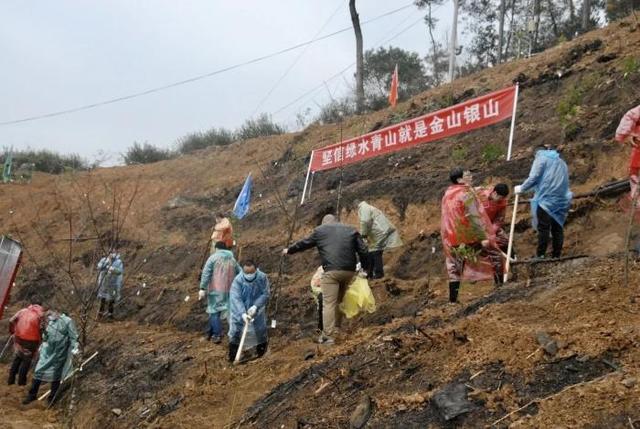 省市县三级联动开展义务植树活动暨诗画浙江大花园核心区国土绿化试点示范项目开工仪式在开化举办
