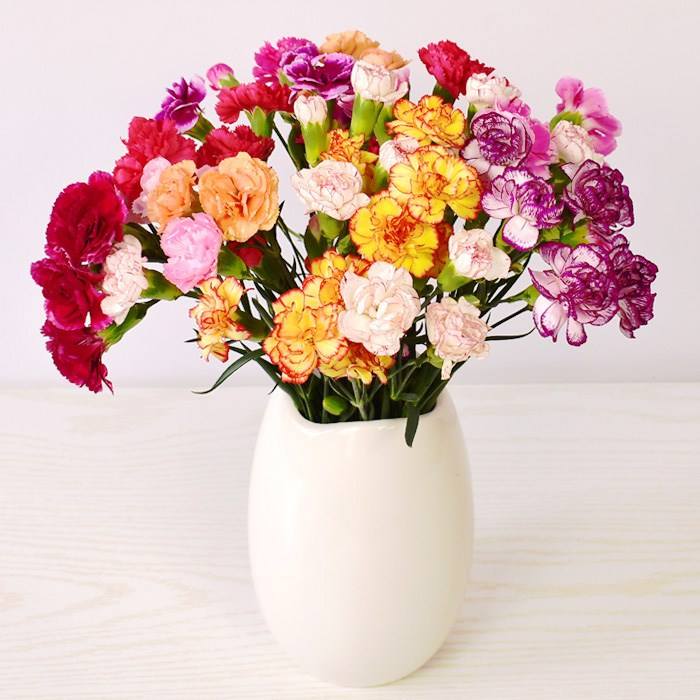 32种鲜切花花名，以及对应的花语，从此买花送人不出错