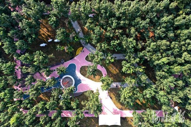 石家庄栾城：建设园林景观共享绿色生活