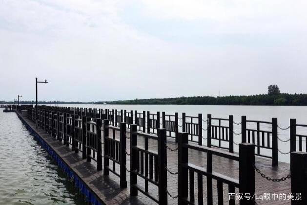上海明珠湖公园占地6500亩，水面面积近3000公顷，景色很美