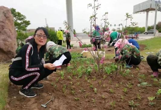许金秀：当好城市景观“美容师”