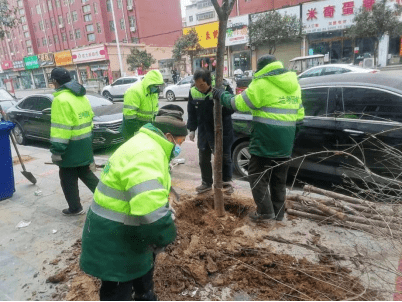 兰考县园林绿化服务中心：最是一年好风光 春季补植正当时 