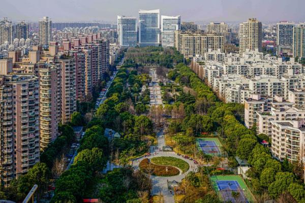 绿化增加超200平方米！普陀这个公园正在改造升级
