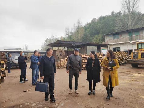 苍溪县通过森林资源监管市级抽查