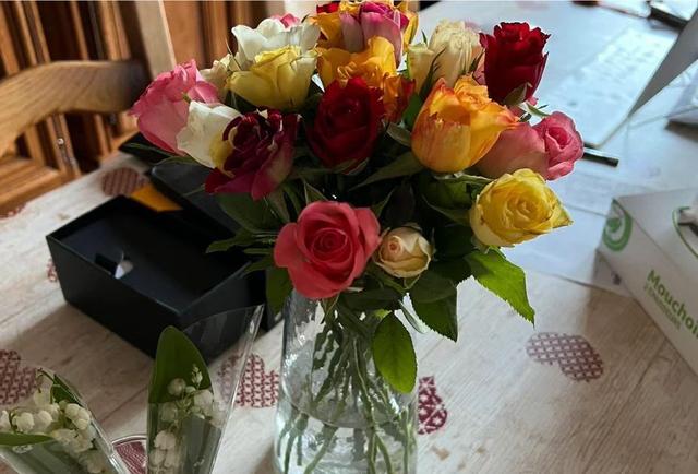 哪些花卉适合家里和办公室里种植，且很爱开花并好养？
