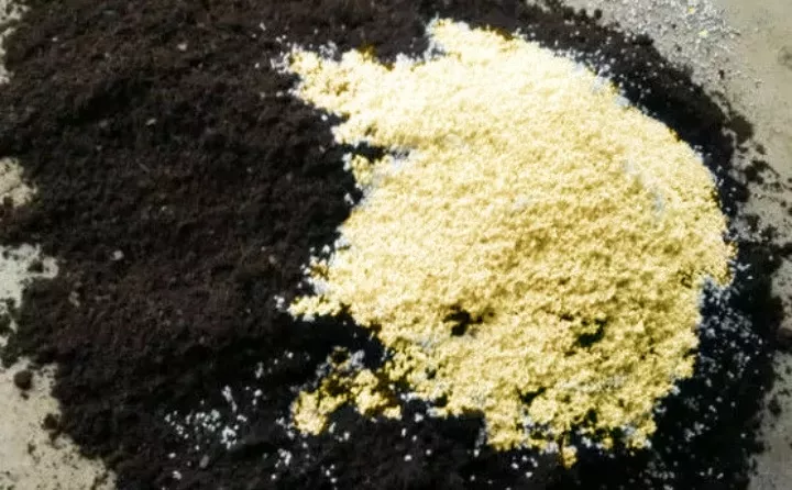 土里撒点粉末，碱性变酸性，花朵蹭蹭开不黄叶
