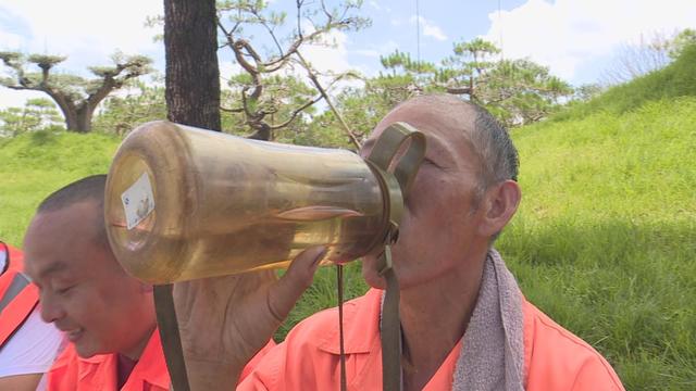 城市绿化养护工：用汗水浇灌绿荫