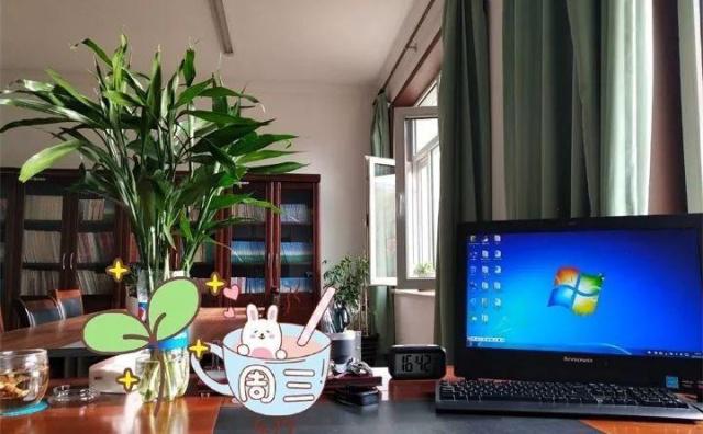 32种花养护大全，新手也能学的会，一年花开好几茬！