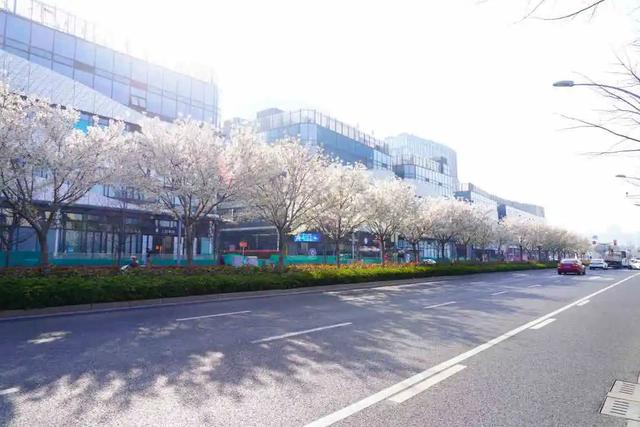 静安区绿化管理中心建设管理科荣获2021年度上海市重点工程实事立功竞赛