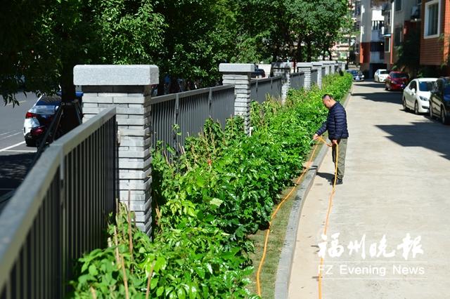 福州台江完成拆墙透绿16处 新增绿化面积4063平方米