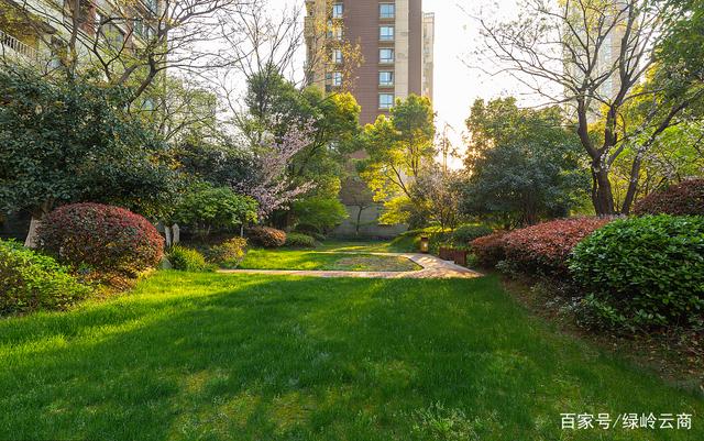 市政道路绿化植物的选择