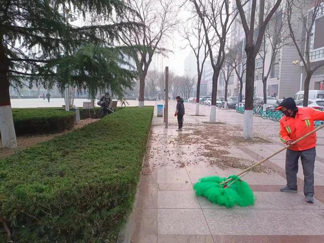 广场绿化管护忙不停