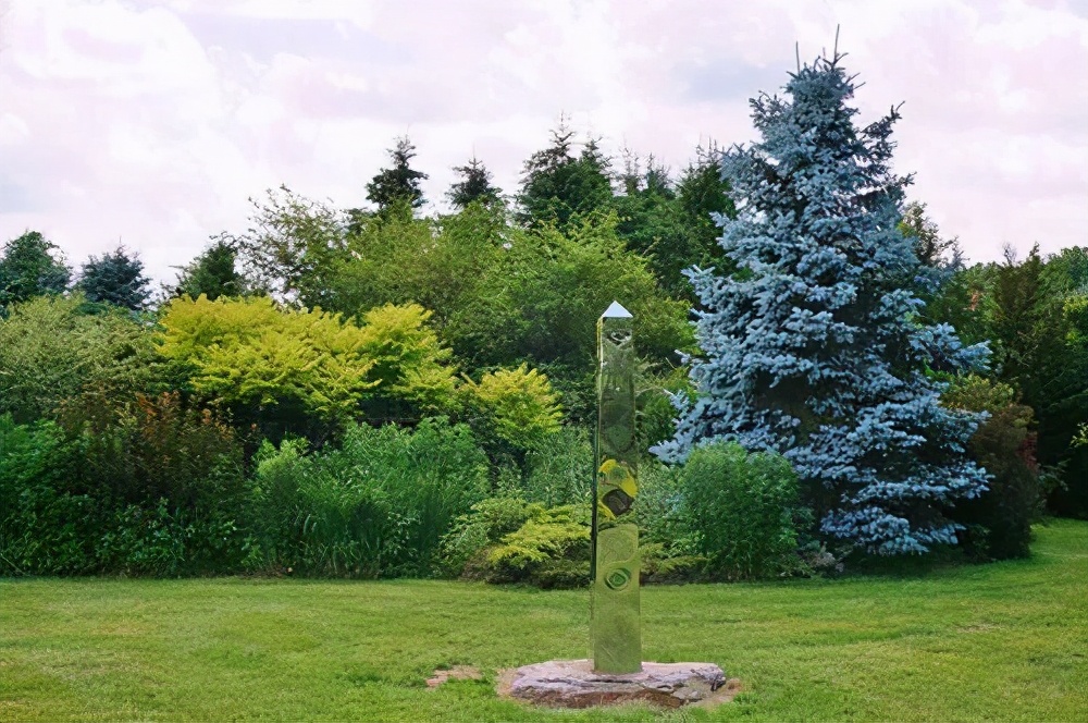 这10种彩叶针树，也许是下一波市场热点