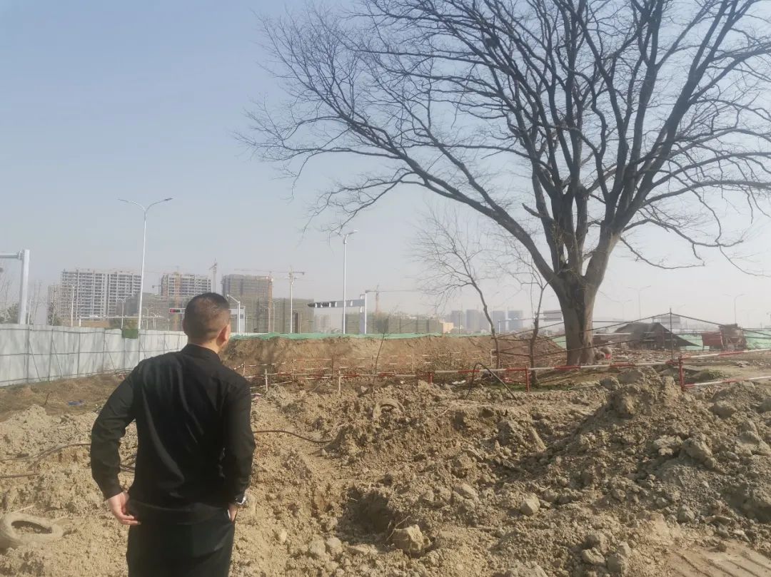 保护古树守乡愁 司法为民解民忧——汉江中院有效化解湖北首例古树名木认定行政纠纷