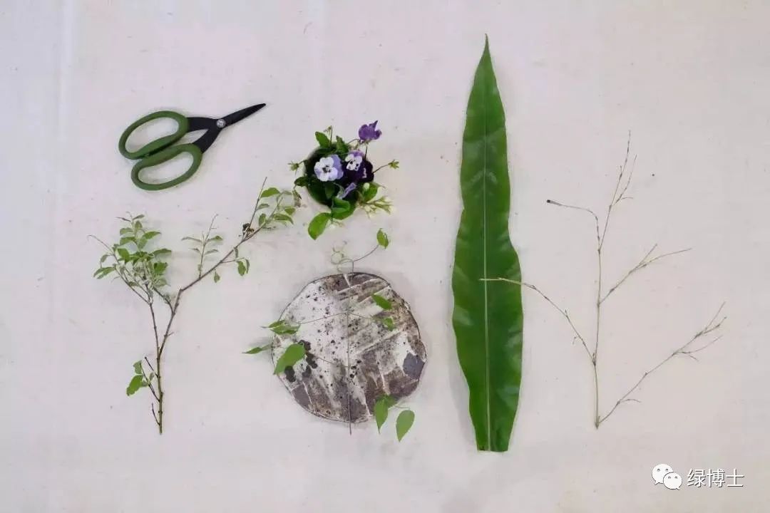 巧用花艺设计为室内降温，动手打造清凉~