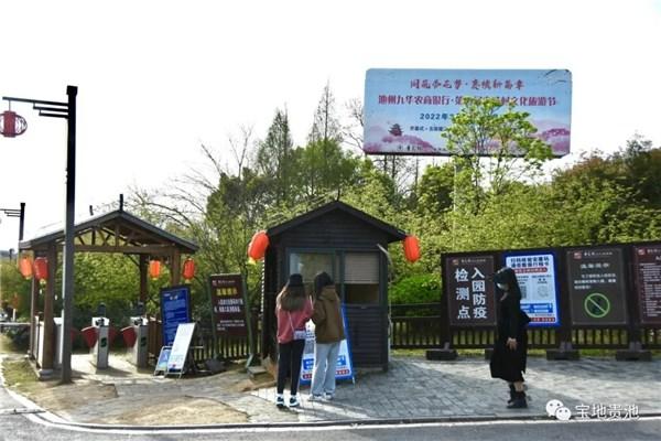 杏花村文化旅游区绝美郁金香花海已上线