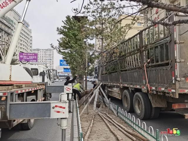今年延吉市计划新栽乔木约5000余株