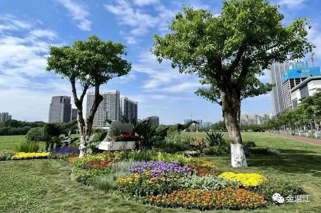 美！温江这个街区绿化升级大变样～