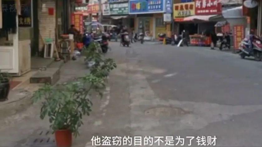 偷绿化带的花，3天就被抓了，解气