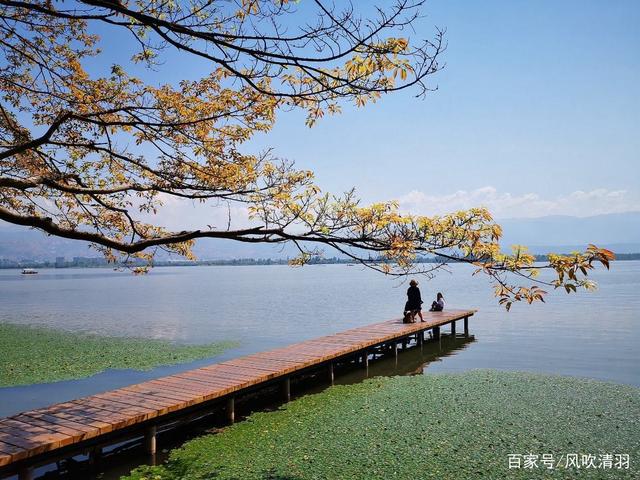 超棒！中国三大避寒养生旅游胜地，绿化好，空气好，适合养老