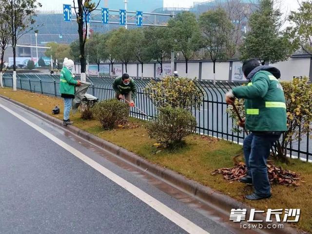 绿化养护不停歇，160名雨花园林人春节坚守一线