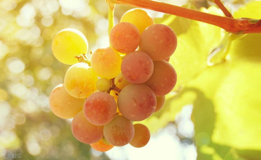 农村庭院，这些植物不能种植在家中，这不是讲究，是有科学依据的