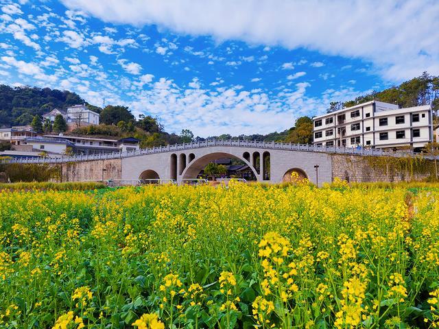 推进绿美城市建设 全力打造绿美图景