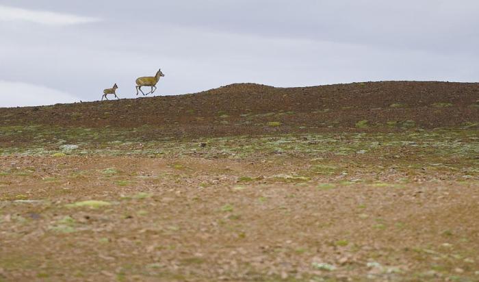青海：在青山绿水间感受人与自然和谐共生之美