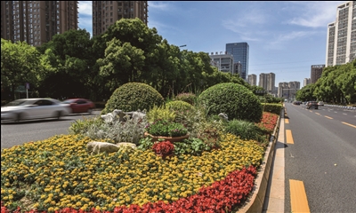 30余种花卉，争扮常州道路“颜值担当”