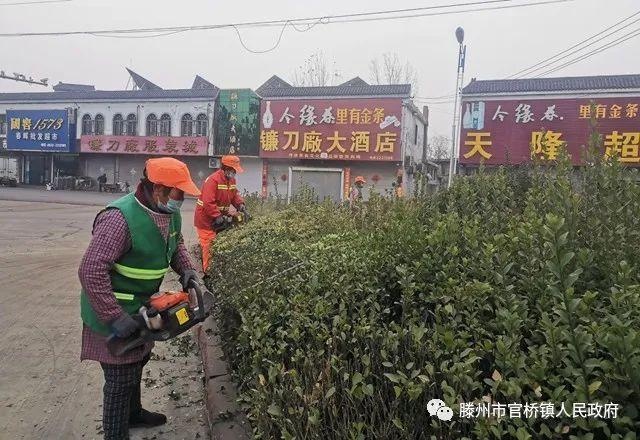 官桥镇持续提升道路绿化及镇域路域人居环境整治工作 官桥镇持续提升道路绿化及镇域路域人居环境整治工作