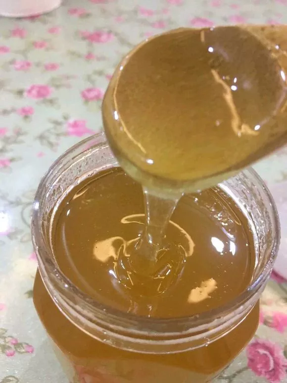 扦插不长根，试试5种生根水，泡一泡，10天长出大白根！