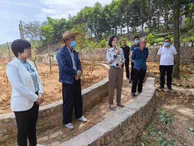 三门峡市林业局领导到义马市观摩全域科学绿化和乡村绿化工作