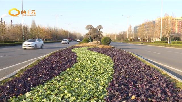 冬季绿化养护 提升城市“颜值”