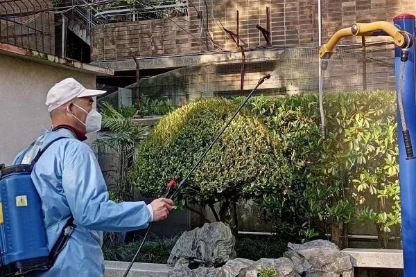 加强公共绿地绿化养护，助力复工复产