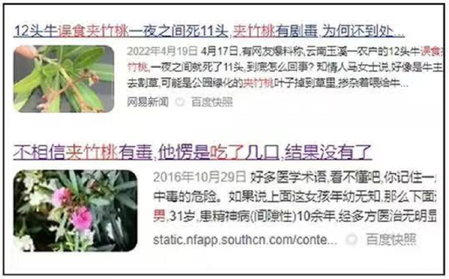 再喜欢，“夺命花草”也别再往家搬了，出事就晚了