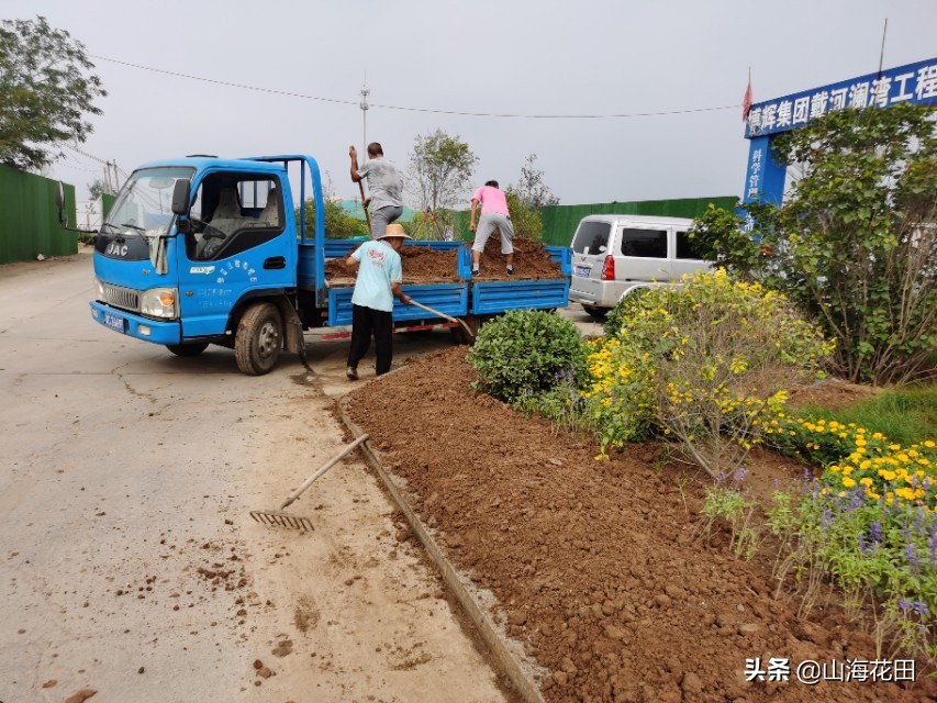 浅谈园林绿化所遇到的问题？