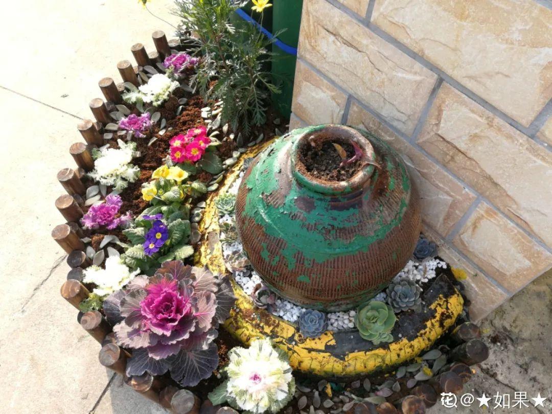 10个偏方，能省不少钱，把花养的又肥又壮