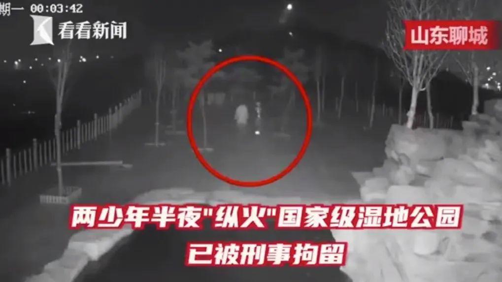 偷绿化带的花，3天就被抓了，解气