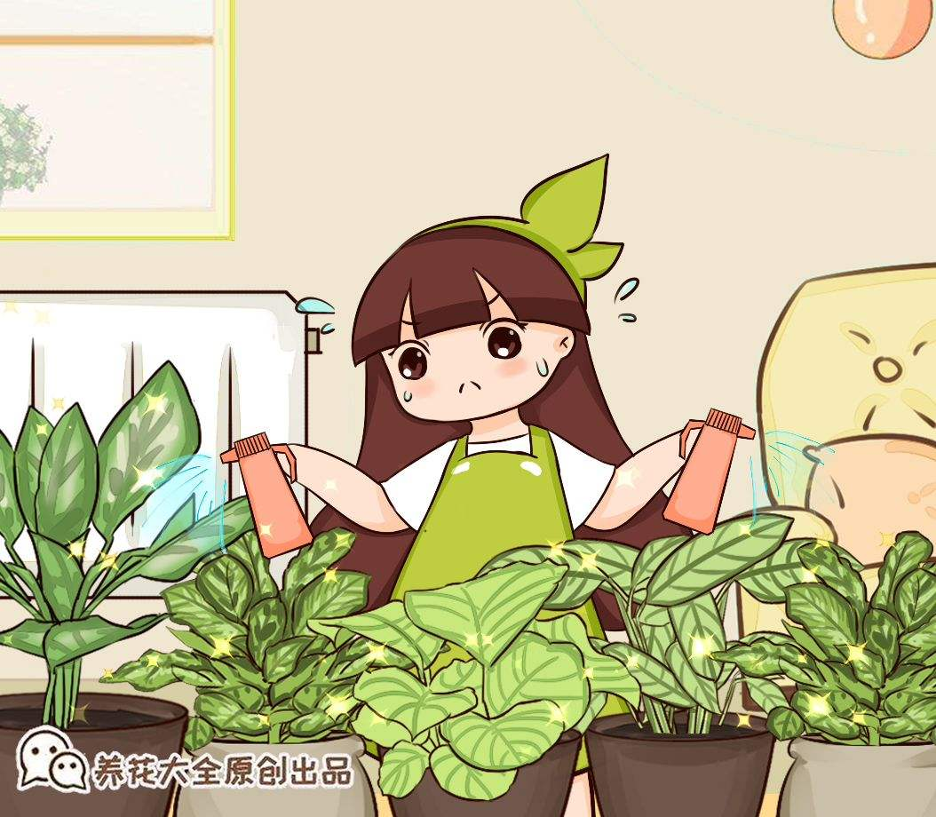 这5种花非常耐涝，控制不好浇水量，一定不要错过